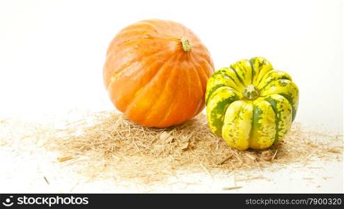 Pumpkins on White Background. Two Pumpkins on Sawdust on a White Background