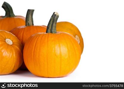 Pumpkins on white background with copy space. Autumn and halloween composition