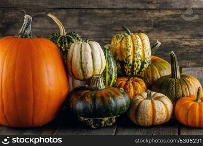 Pumpkins on wooden background. Many orange pumpkins on dark wooden background, Halloween or Thanksgiving day concept