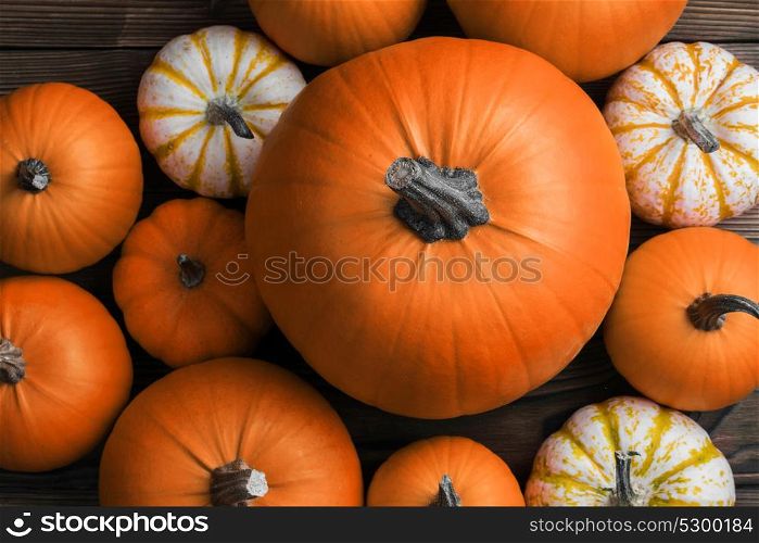 Pumpkins on wooden background. Many orange pumpkins on dark wooden background, Halloween concept