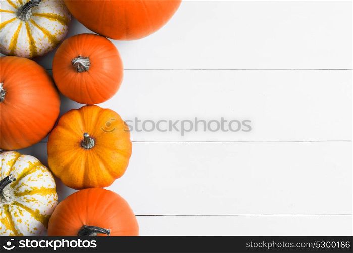 Pumpkins on wooden background. Many orange pumpkins on white wooden background, Halloween concept
