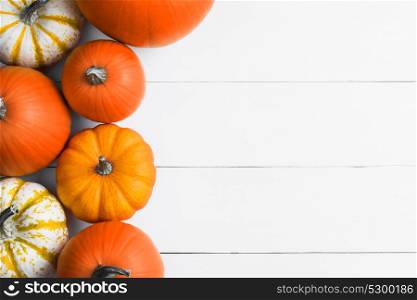 Pumpkins on wooden background. Many orange pumpkins on white wooden background, Halloween concept