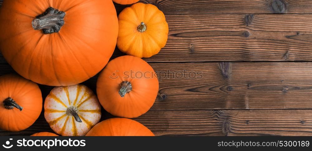 Pumpkins on wooden background. Many orange pumpkins on wooden background, Halloween concept