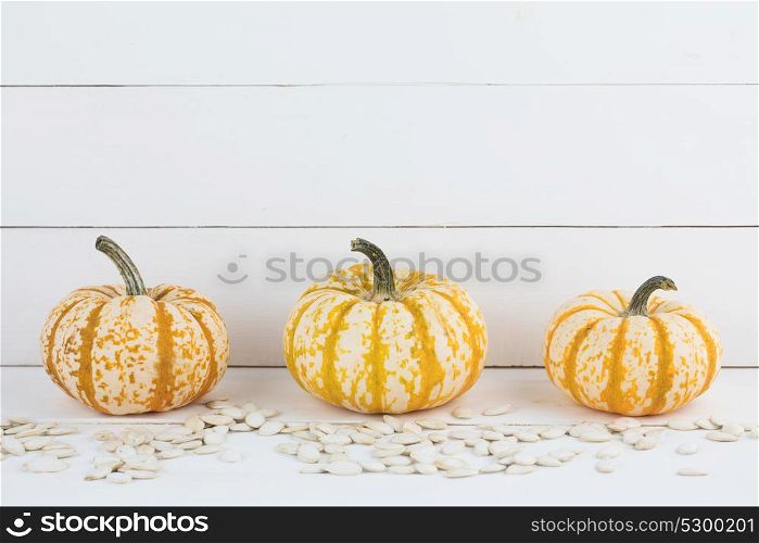 Pumpkins on wooden background. Three orange pumpkins and seeds on white wooden background, Halloween concept