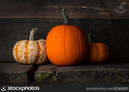Pumpkins on wooden background. Three orange pumpkins on dark wooden background, Halloween concept