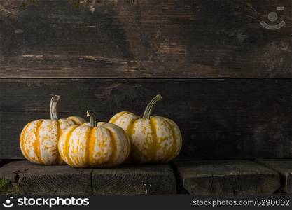 Pumpkins on wooden background. Three striped yellow pumpkins on dark wooden background, Halloween concept