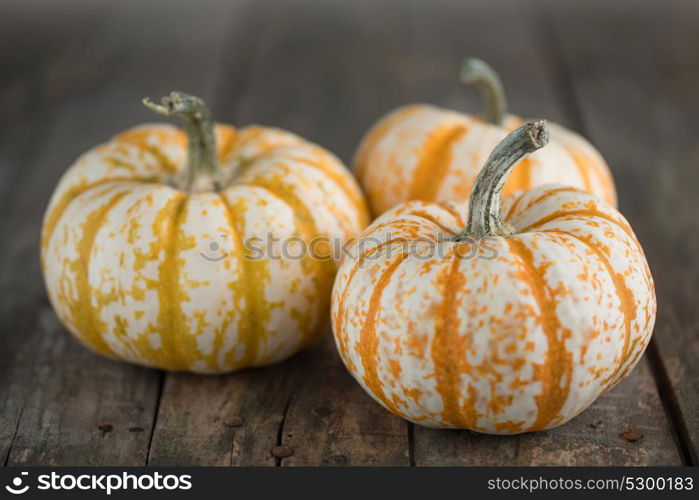 Pumpkins on wooden background. Three striped yellow pumpkins on dark wooden background, Halloween concept