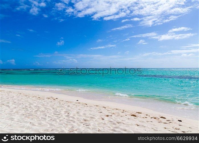 Punta Cana Bavaro Beach Dominican Republic.. Punta Cana Bavaro Beach Dominican Republic