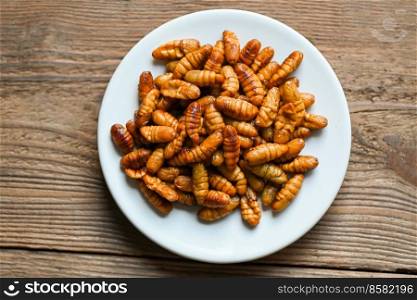 pupa on white plate background, fry silk worms - fried pupa for food beetle worm 