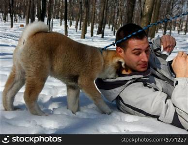 Puppie of Japanese dog Akita Inu, playing in the park with his owner,Belgrade,Serbia