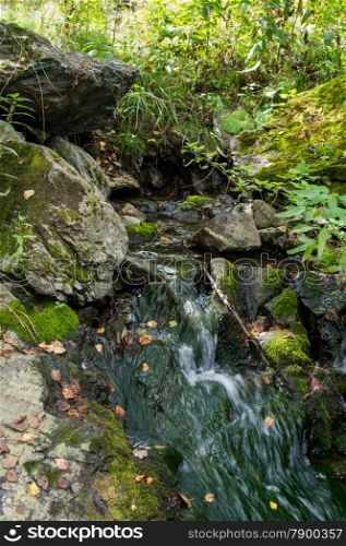 pure mountain spring flows among stones covered with green moss