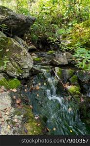 pure mountain spring flows among stones covered with green moss