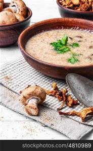 puree soup with mushrooms. delicious seasonal vegetarian soup with chanterelle mushrooms