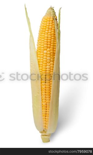Purified ear of corn with leaves isolated on white background