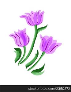 Purp≤tulips isolated on a white background. Purp≤colored tulips. Purp≤tulips set