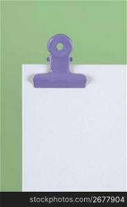 Purple clip holding plain paper