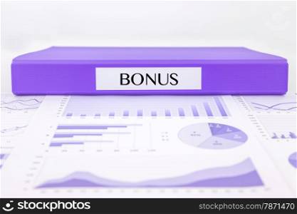 Purple document binder with BONUS word place on graphs analysis and financial reports