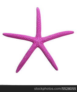 Purple Finger Starfish Isolated On White Background