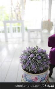 purple flower in jar