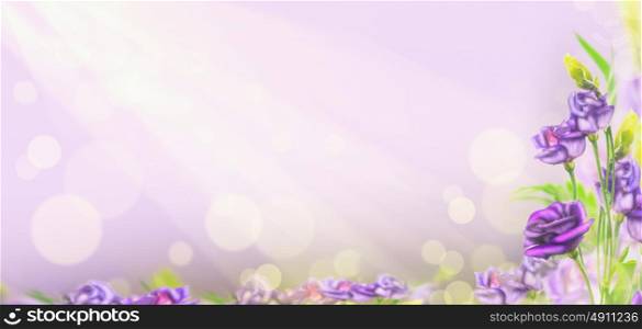 purple flowers on blured background with bokeh, banner for website