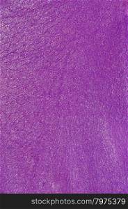 Purple genuine leather background