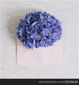 purple hydrangea flower pink envelope against rough backdrop