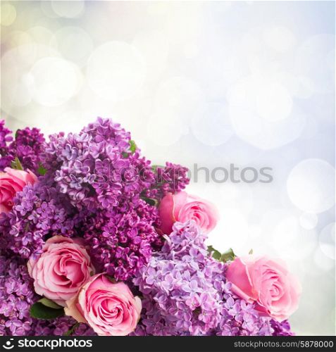 Purple Lilac flowers with pink roses close up on bokeh background. Lilac flowers