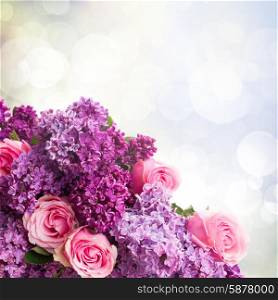 Purple Lilac flowers with pink roses close up on bokeh background. Lilac flowers