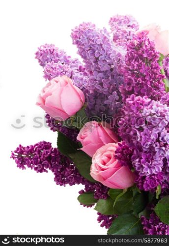 Purple Lilac flowers with pink roses isolated on white background. Lilac flowers