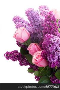 Purple Lilac flowers with pink roses isolated on white background. Lilac flowers