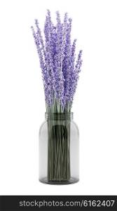 purple lupine flowers in glass jar isolated on white background