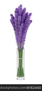 purple lupine flowers in glass vase isolated on white background. 3d illustration