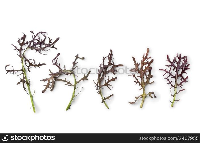 Purple Mizuna leaves in a row on white background