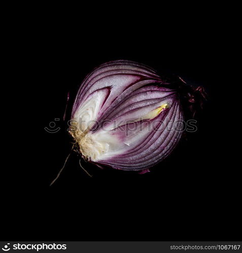 Purple onion in studio on black background