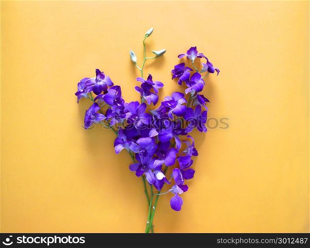 Purple orchid flowers. Creative design. Minimal fashion art