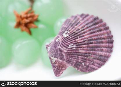 Purple shell with green marbles in the background