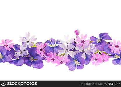 Purple spring flower border