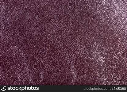 Purple texture