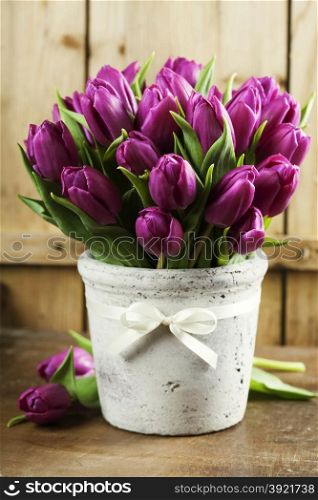 Purple Tulips on a wooden surface. Studio photography