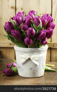 Purple Tulips on a wooden surface. Studio photography