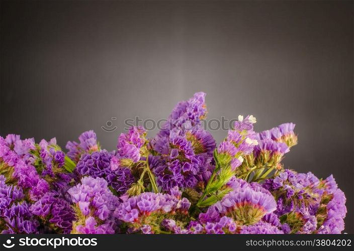 Purple violet statice bouquet or sea lavender with little white blooms. Chalkboard background