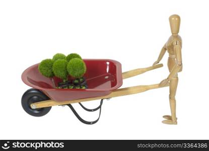 Pushing red wheelbarrow used to transport items while working outdoors filled with green plants - path included