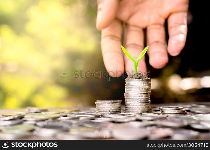 Putting coins stacked and seedlings on top. Along with a hands of a man were to handle.