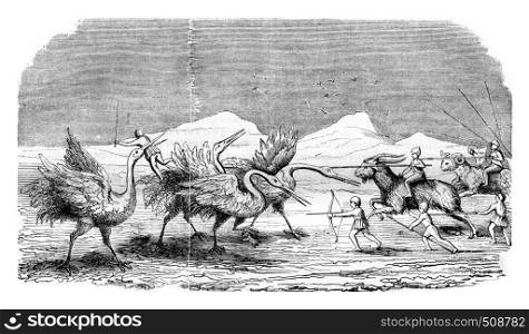 Pygmies fighting the cranes, vintage engraved illustration. Magasin Pittoresque 1843.