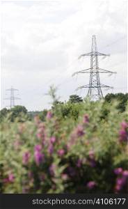 Pylons in the countryside
