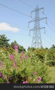 Pylons in the countryside