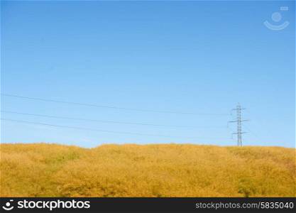 Pylons with wires on a yellow field