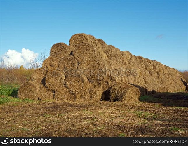pyramid of hay .Autumn rural landscape Arkhangelsk region, Russia