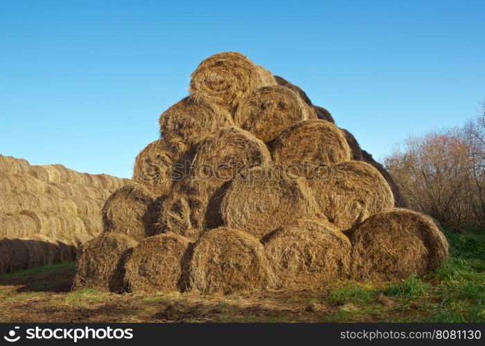 pyramid of hay .Autumn rural landscape Arkhangelsk region, Russia