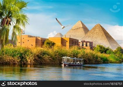 Pyramids near the Nile River at sunset. Pyramids near Nile River